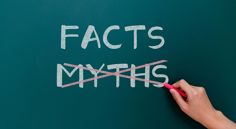 facts vs myths on chaulkboard